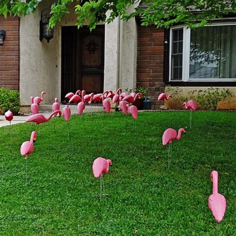 are there more fake flamingos